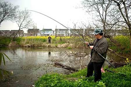 冬季野钓鲫鱼小药哪种最好