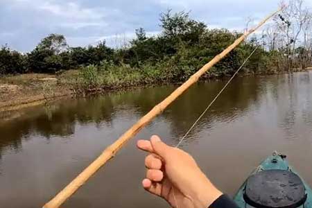 虾粉钓鱼效果怎么样