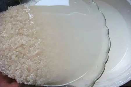 淘米水开饵料效果好不好