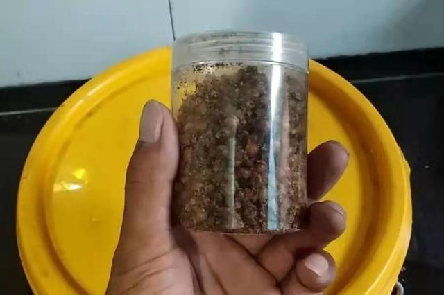 春天钓鱼比蚯蚓和小药更好的鱼饵