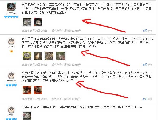 钓鱼小药评论