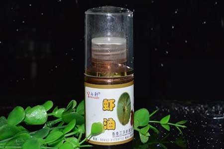 钓鱼小药根据季节进行搭配的方法