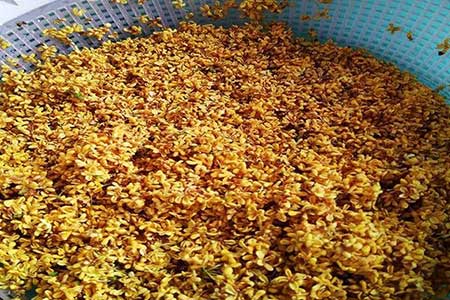 桂花钓鱼小药自制配方，夏季这么用野钓连杆上不停