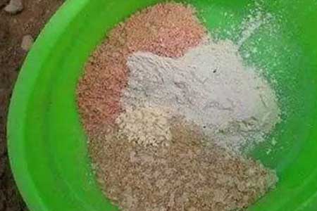 饵料