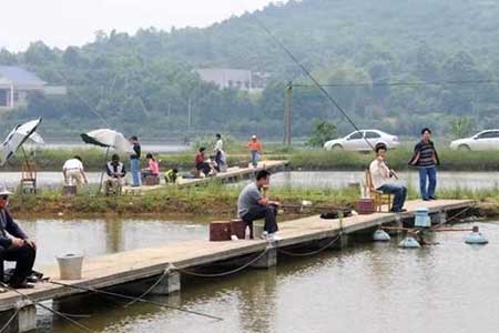 钓鱼小药野钓管用吗