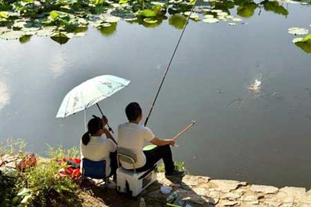 黑坑钓鲤鱼怎么用小药